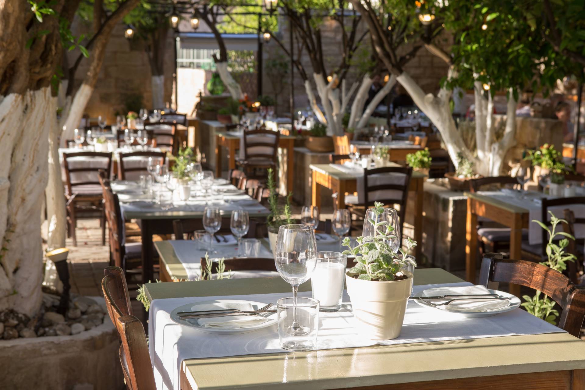 Lemonokipos Restaurant