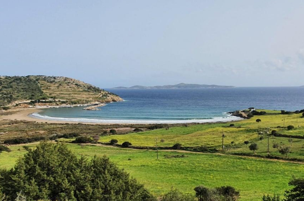 Seaside plot in Naxos 13.000 sq.m.