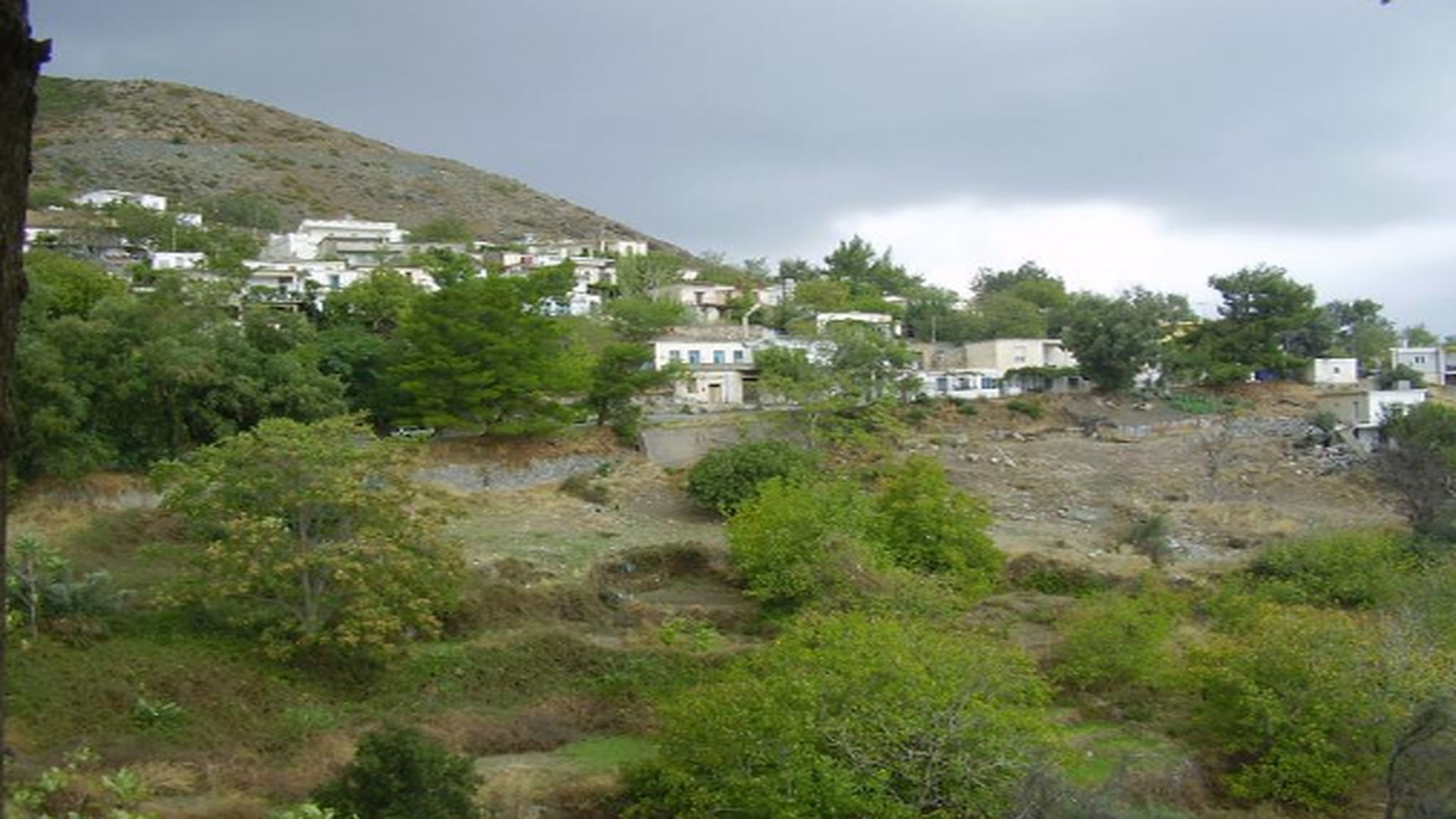 An impressive plot of land in the area of Agios Dimitrios.