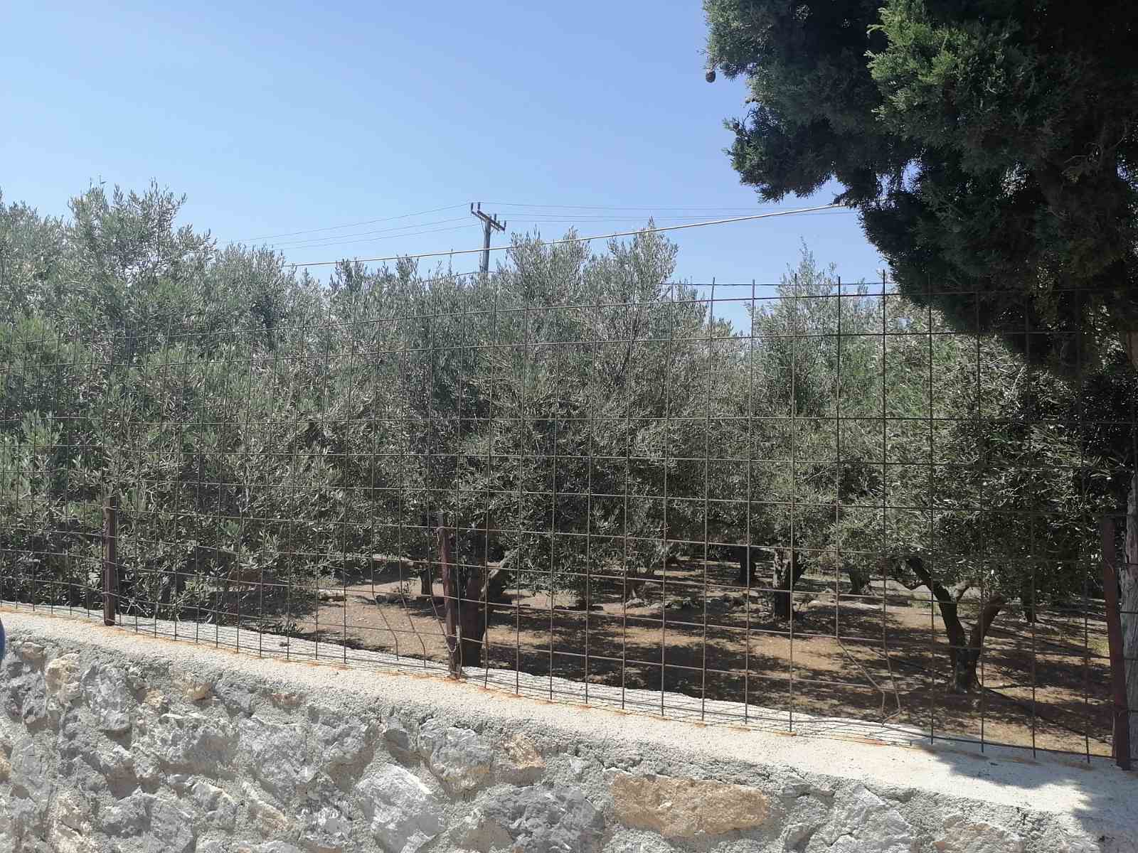 For sale 1,000 sqm plot in the center of Kerames village, southern Crete