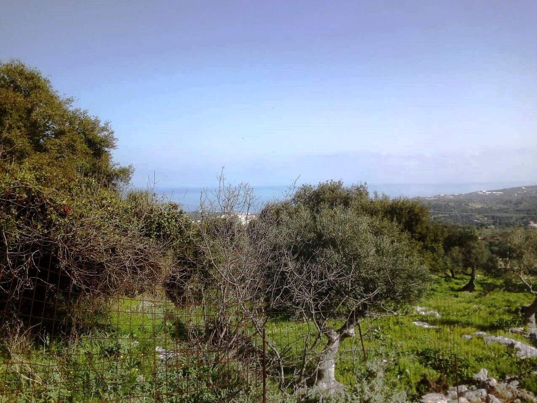 Selling a plot of land in the area of ​​Gerani.