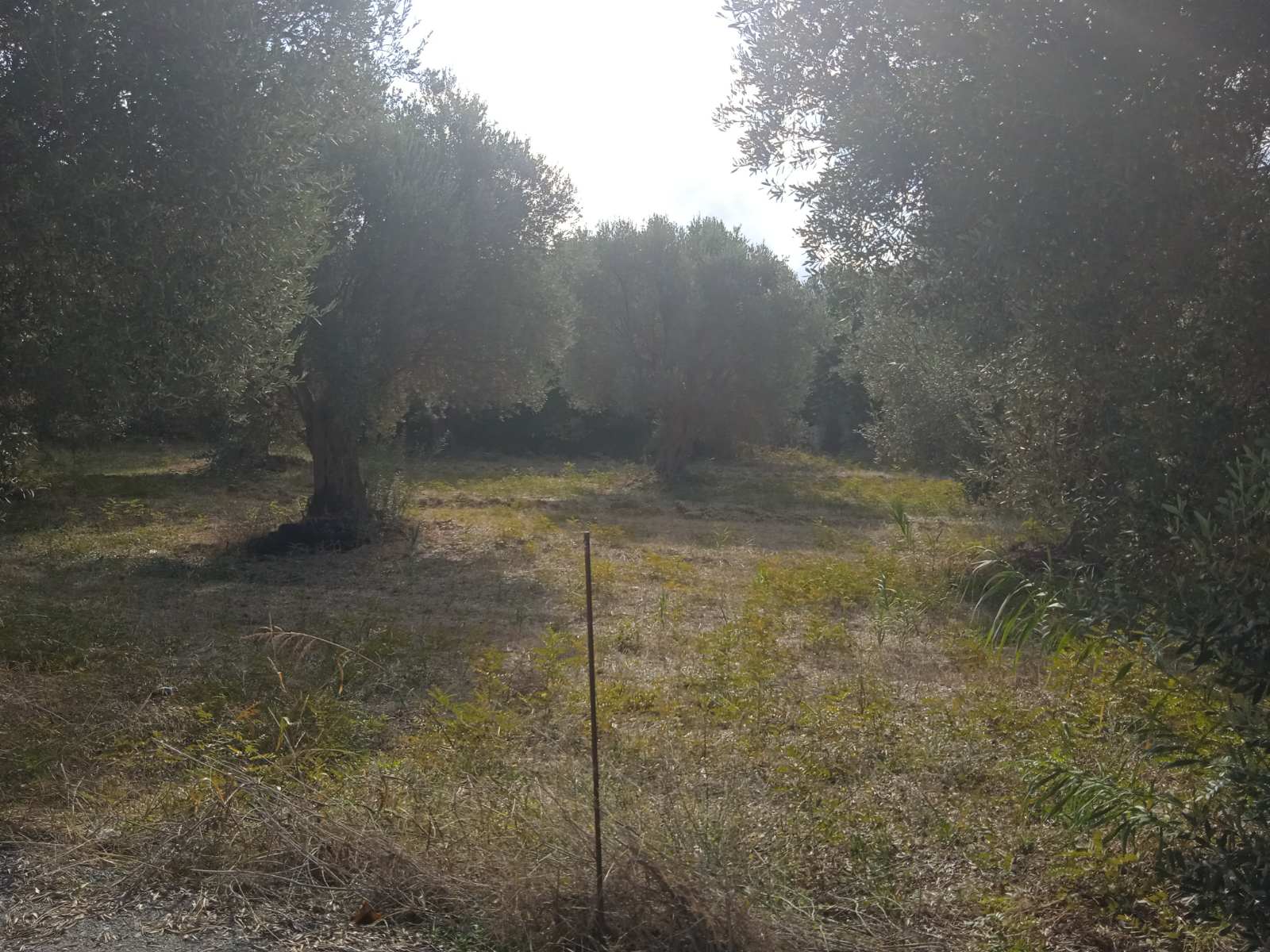 Plot of land in the Sfakaki area of ​​Rethymnon