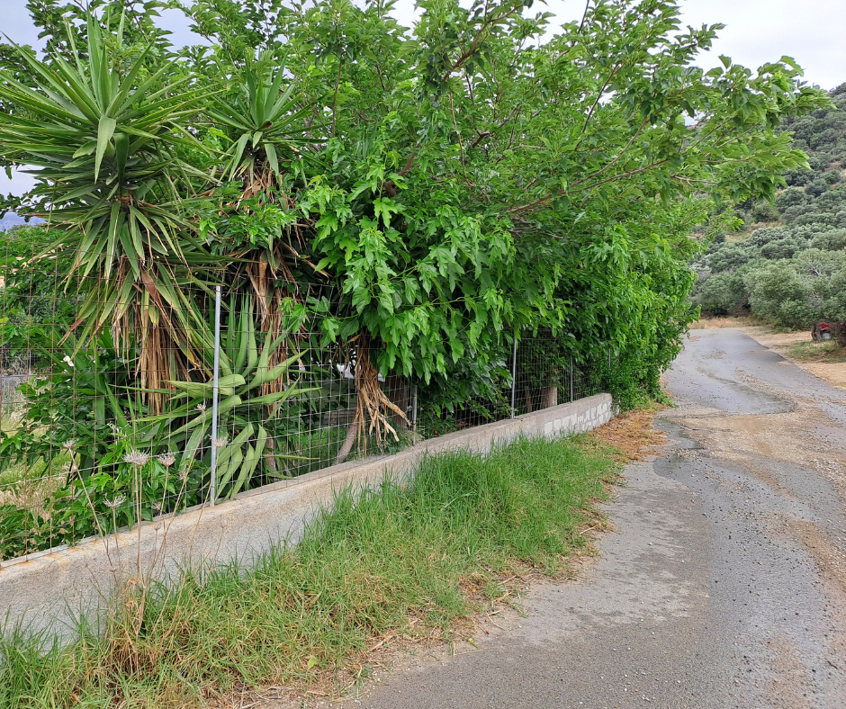 Uitstekende investeringsmogelijkheid in Plakias, Kreta!