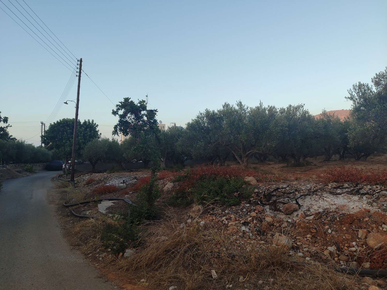 Plot within a settlement in Milato, 200 m distance from the sea.