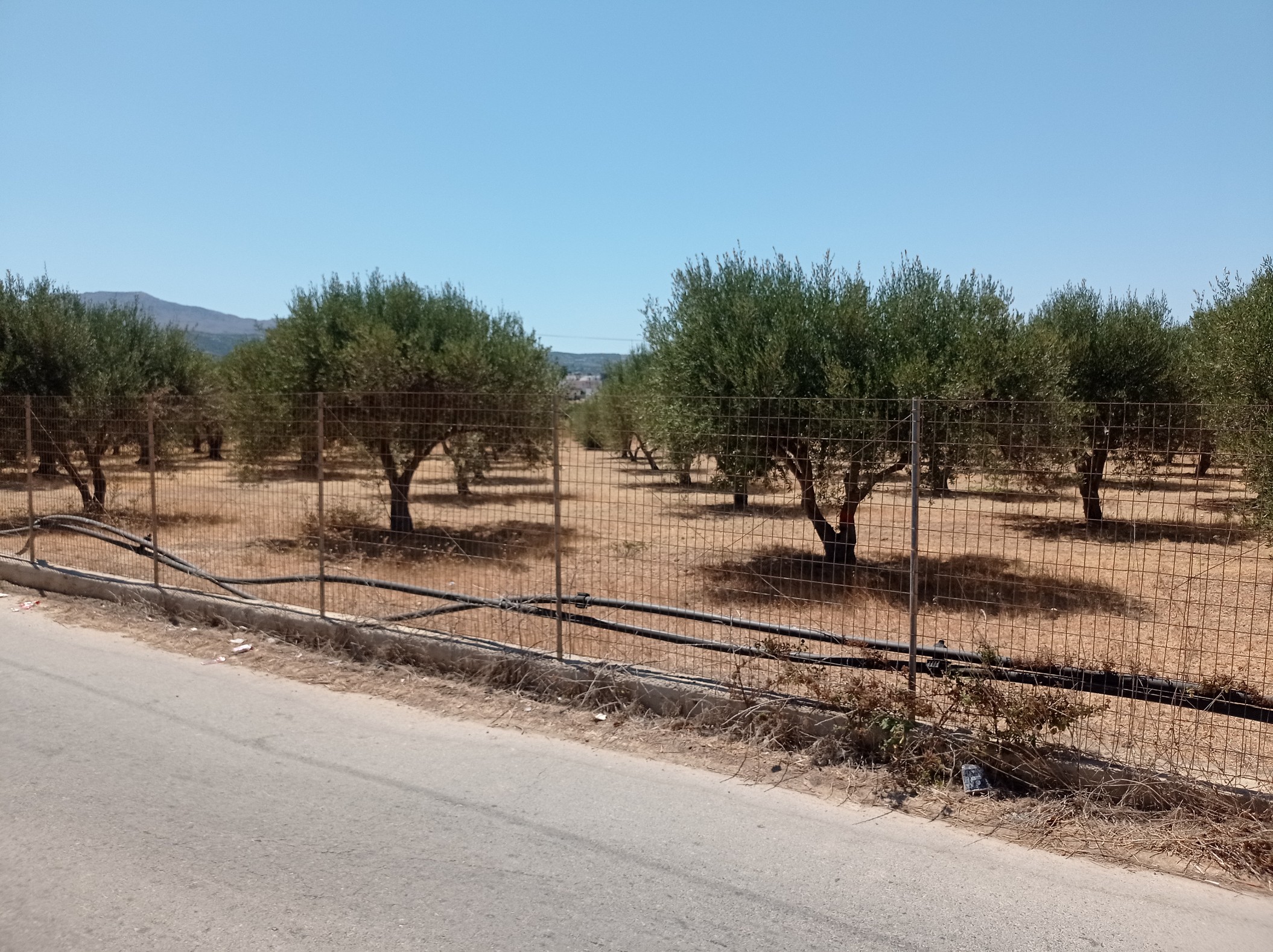 Een apart stuk grond nabij de stad Rethymnon.