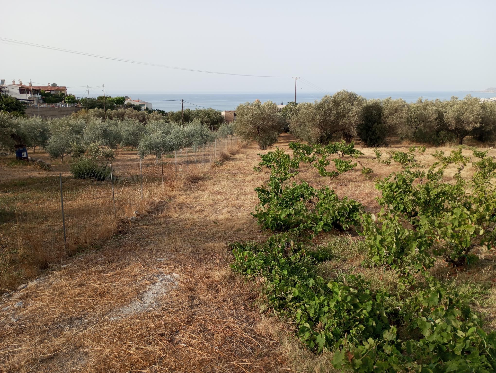 Perceel in de stad Rethymno met uitzicht op zee - Ideaal voor toeristische investeringen