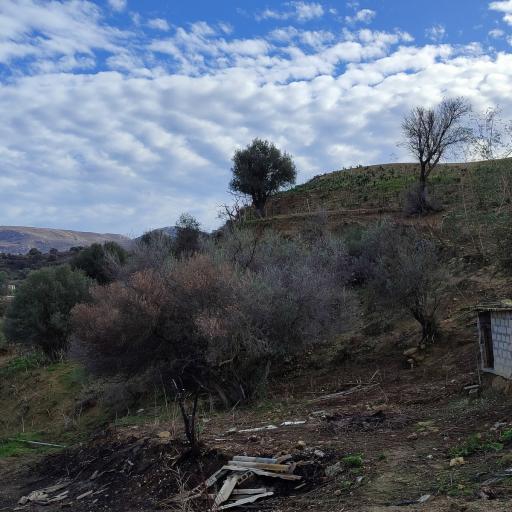 Πωλείται οικόπεδο εντός οικισμού στην άκρη του χωριού Πιτσίδια.