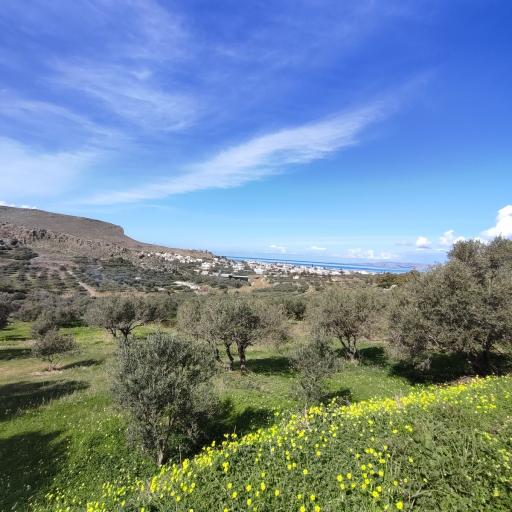 Πωλείται οικόπεδο κοντά στις παραλίες του Καρτερού και Κοκκίνη Χάνι καθώς και στην νέα μελλοντική μονάδα Καζίνου.