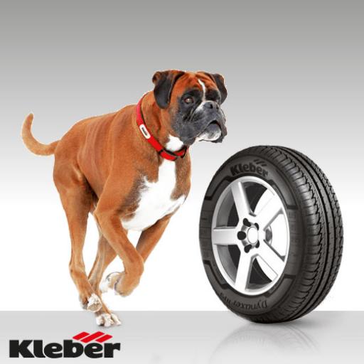 Kleber
