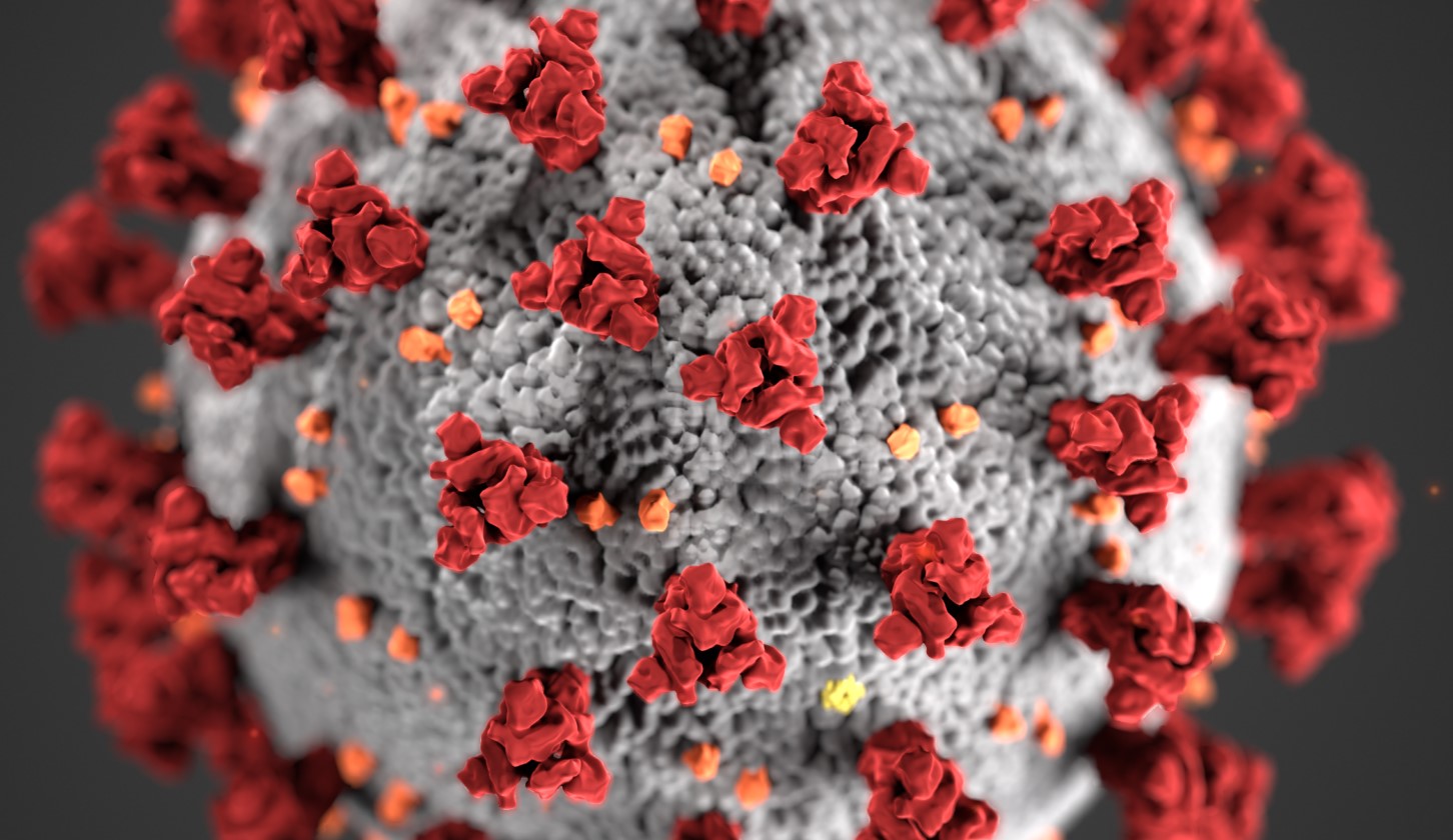 &Pi;&Rho;&Omicron;&Lambda;&Eta;&Psi;&Eta; COVID-19