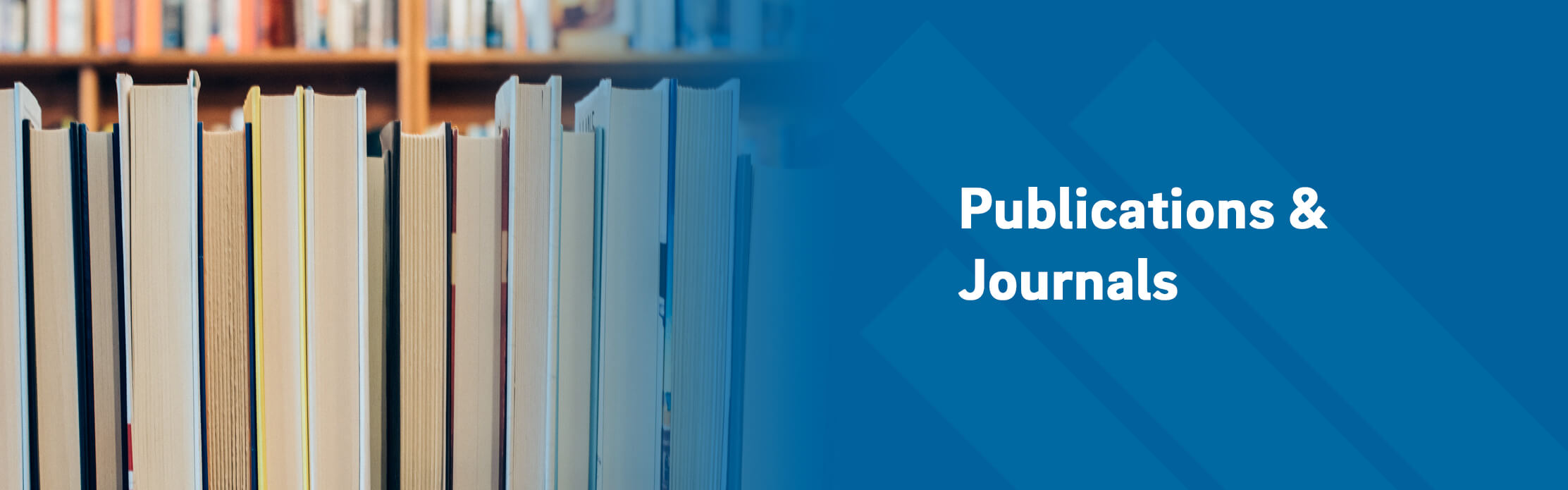 Recent Research Output of the Department