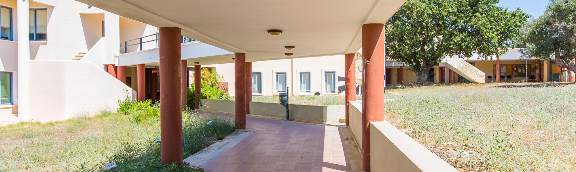 &Epsilon;&kappa;&pi;&alpha;&iota;&delta;&epsilon;&upsilon;&tau;&iota;&kappa;έ&sigmaf; &epsilon;&nu;&eta;&mu;&epsilon;&rho;ώ&sigma;&epsilon;&iota;&sigmaf; &Tau;&mu;ή&mu;&alpha;&tau;&omicron;&sigmaf; &Omicron;&iota;&kappa;&omicron;&nu;&omicron;&mu;&iota;&kappa;ώ&nu; &Epsilon;&pi;&iota;&sigma;&tau;&eta;&mu;ώ&nu; &sigma;&epsilon; &mu;&alpha;&theta;&eta;&tau;έ&sigmaf; &Lambda;&upsilon;&kappa;&epsilon;ί&omicron;&upsilon;