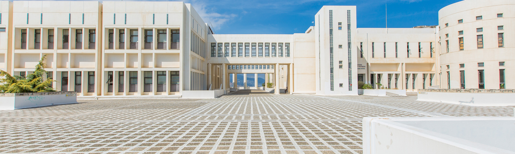 Εκπροσώπηση Φοιτητών στην Σύγκλητο 