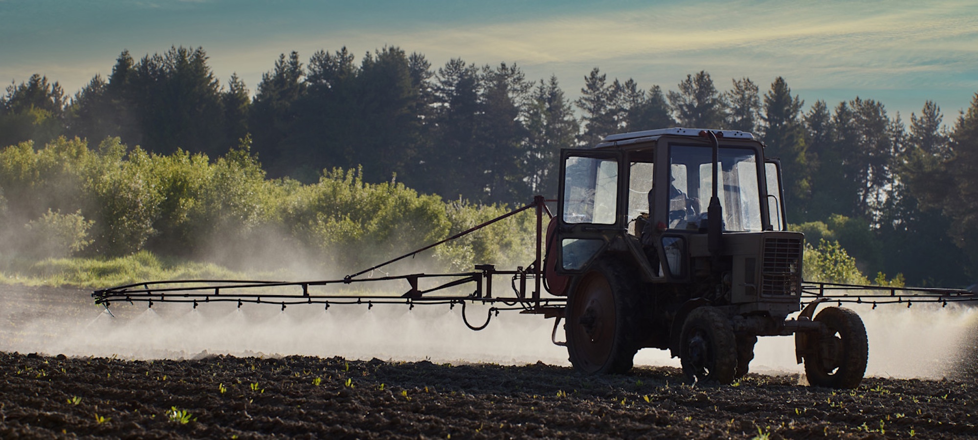 Dynamic Pesticide Regulation under Resistance and Fiscal Constraints