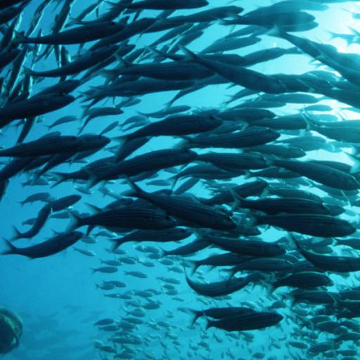 Estimating Population Dynamics without Population Data