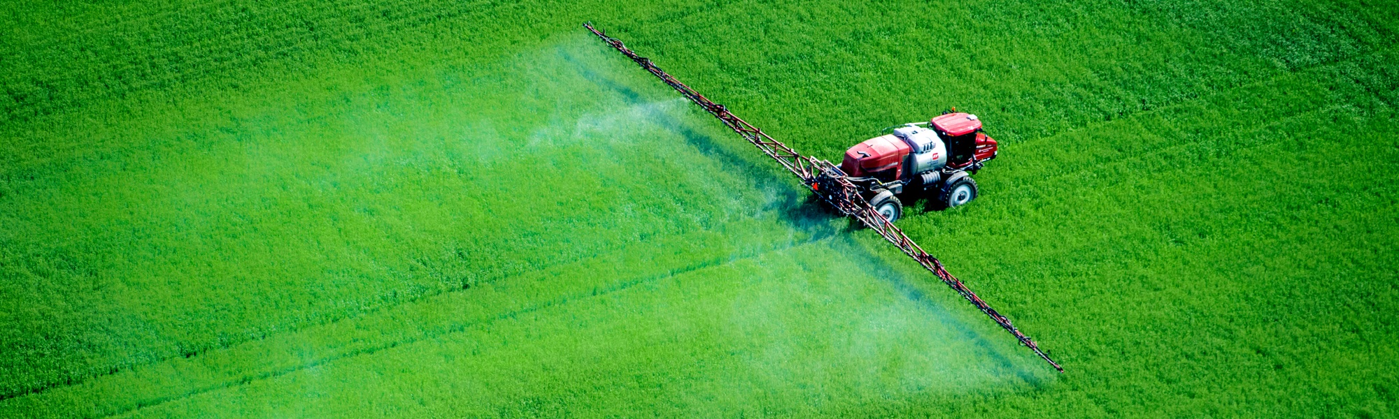 Pesticide Use, Health Impairments and Economic Losses Under Rational Farmers Behavior