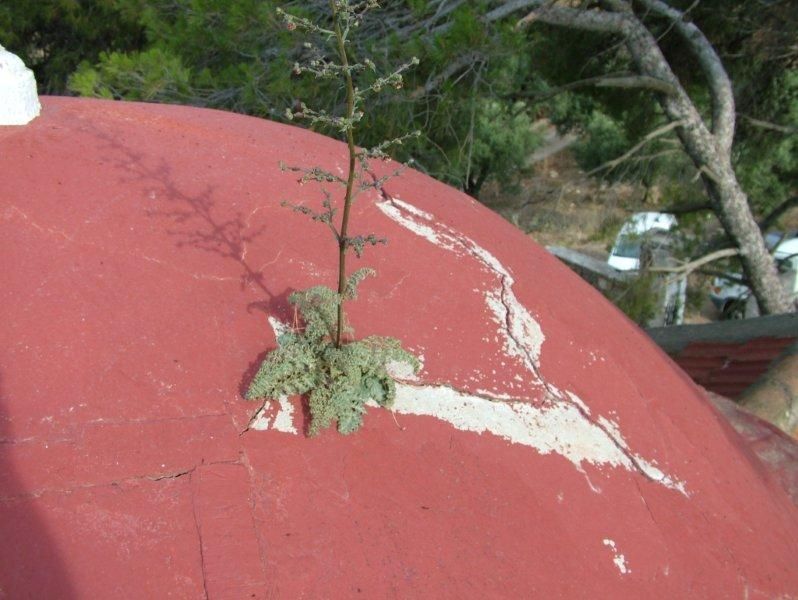 Εξωτερική εσωτερική, ανακαίνιση, μόνωση επισκευή κεραμιδιών.