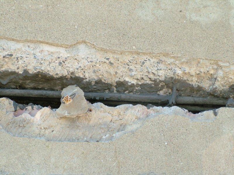 Επισκευές οπλισμού, μονώσεις τοίχων, χρωματισμός.