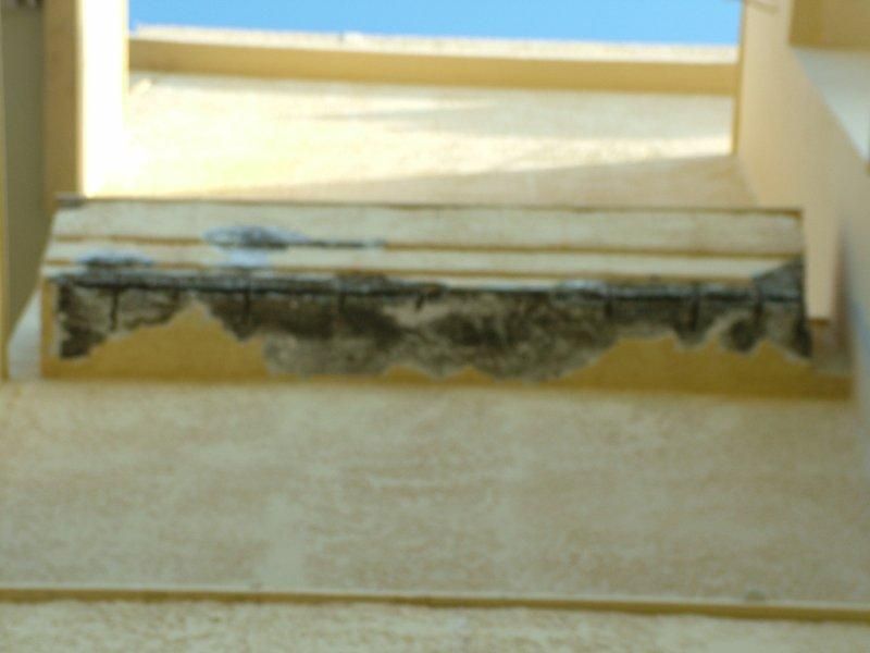 Επισκευές οπλισμού, μονώσεις τοίχων, χρωματισμός υγρομόνωση ταράτσας.
